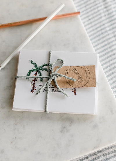 Bermuda Christmas card set