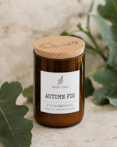 Autumn Fig