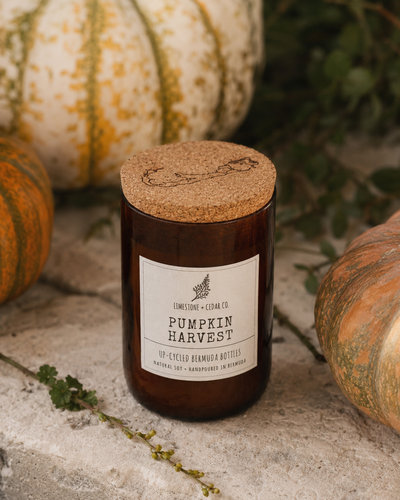Pumpkin Harvest