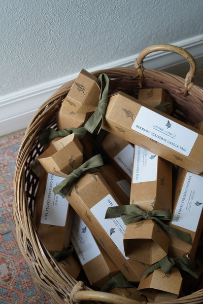 The Bermuda Glow Cracker