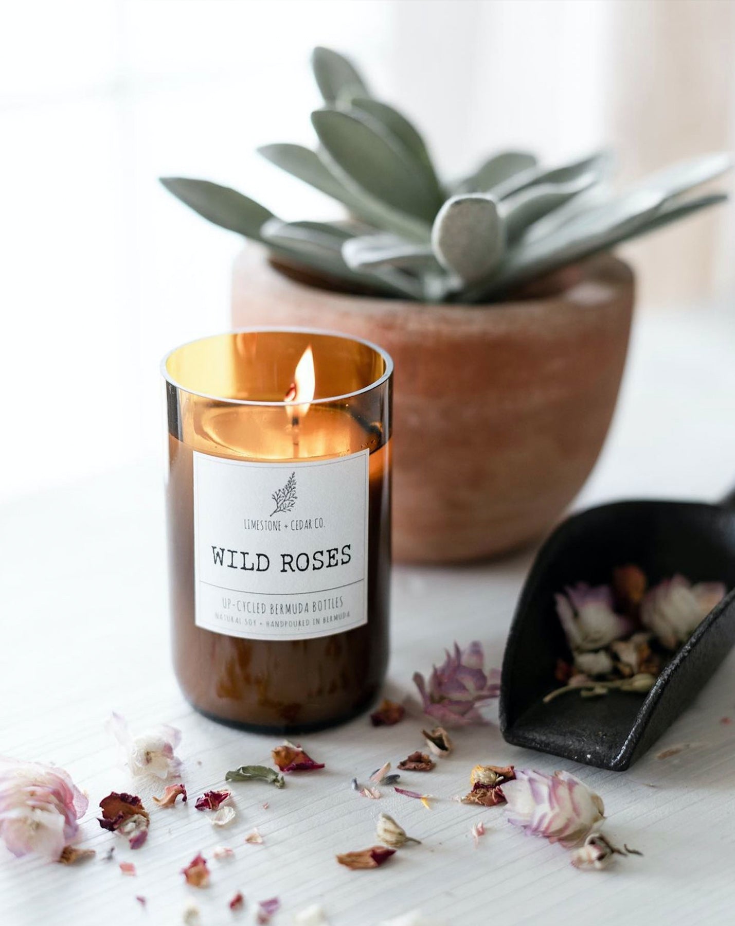 Wild Roses