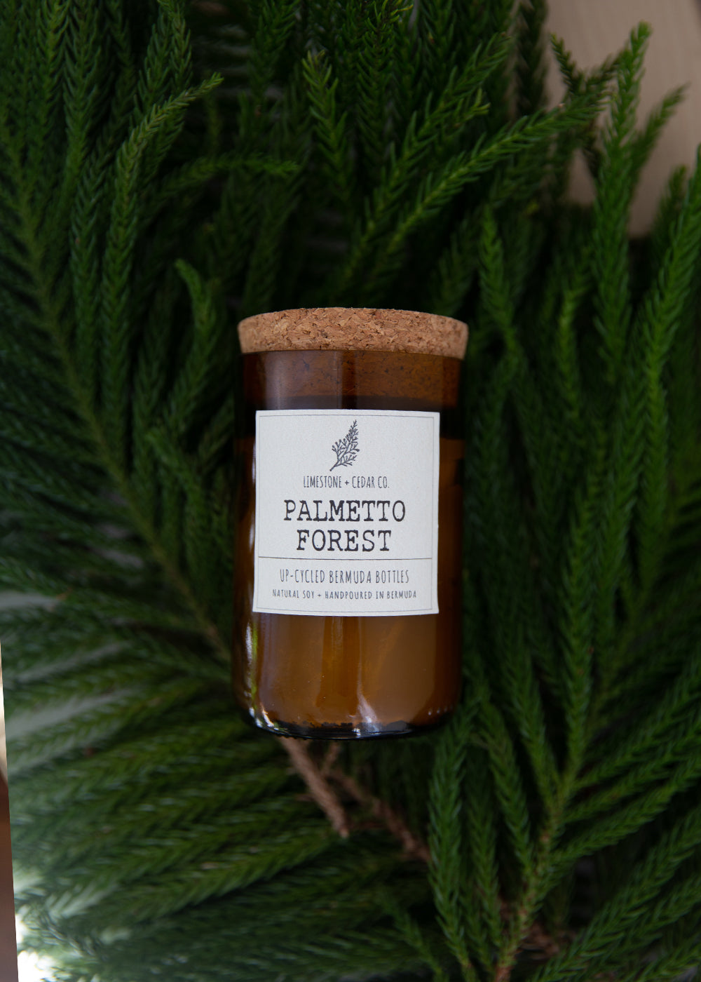 Palmetto Forest